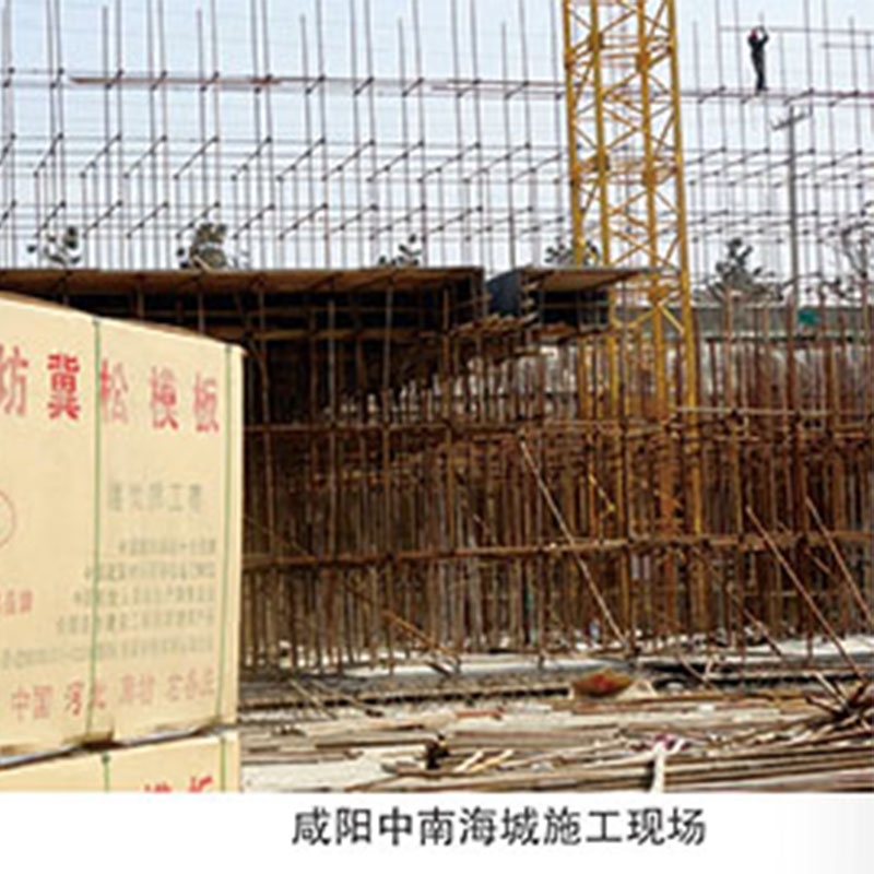 咸陽中南海城施工現場